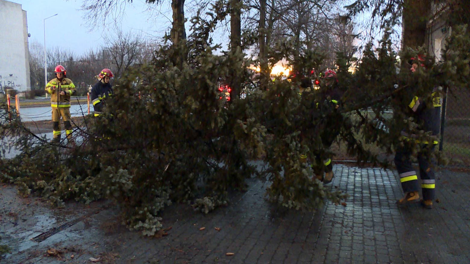 Drzewo spadło na samochód przy Al. Słowackiego OSTROW24