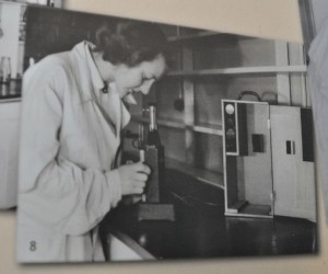 60-lat istnieje ostrowski Sanepid