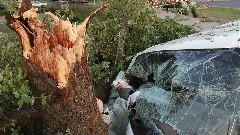 Wypadek busa w Śliwnikach. 3 osoby ranne (wideo)