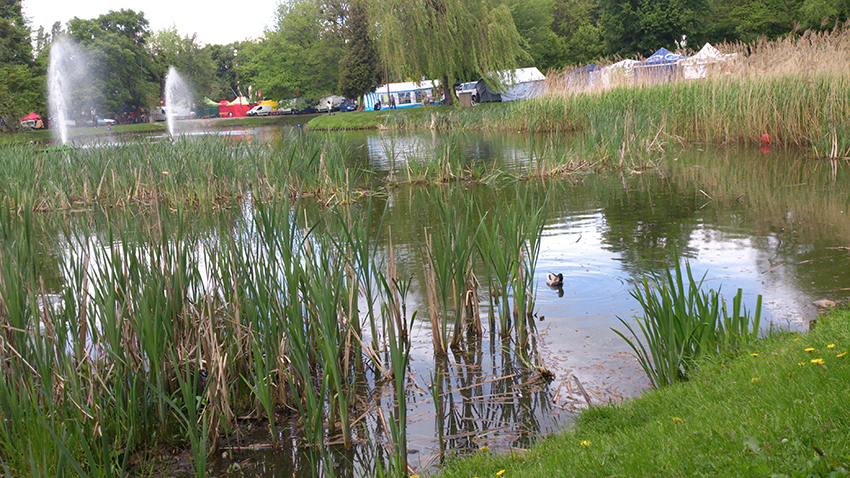 Znaleziono zwłoki kobiety w Parku Miejskim (aktualizacja 14:55) park-miejski2www