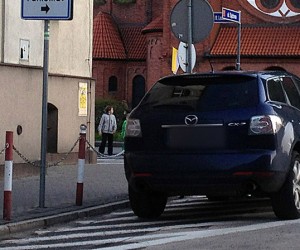 Święta krowa Rafał Żelanowski?