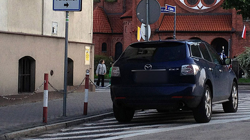 Święta krowa Rafał Żelanowski?