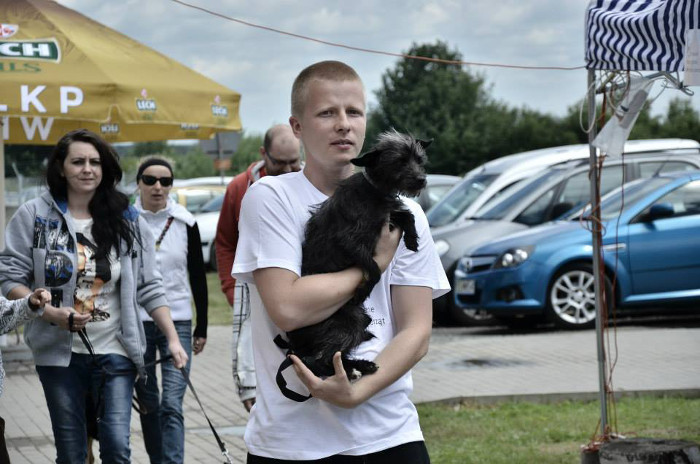 Ostrowianie zabrali psy na spacer