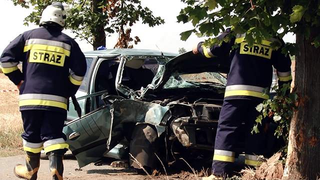 Peugeot uderzył w drzewo