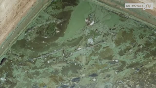 Piaski wyglądają jak zupa szczawiowa