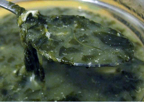 zupa-szczawiowa