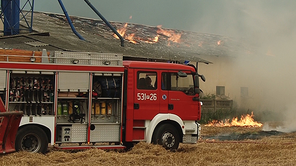 Pożar świniarni – 10 wozów gasiło pożar (wideo)