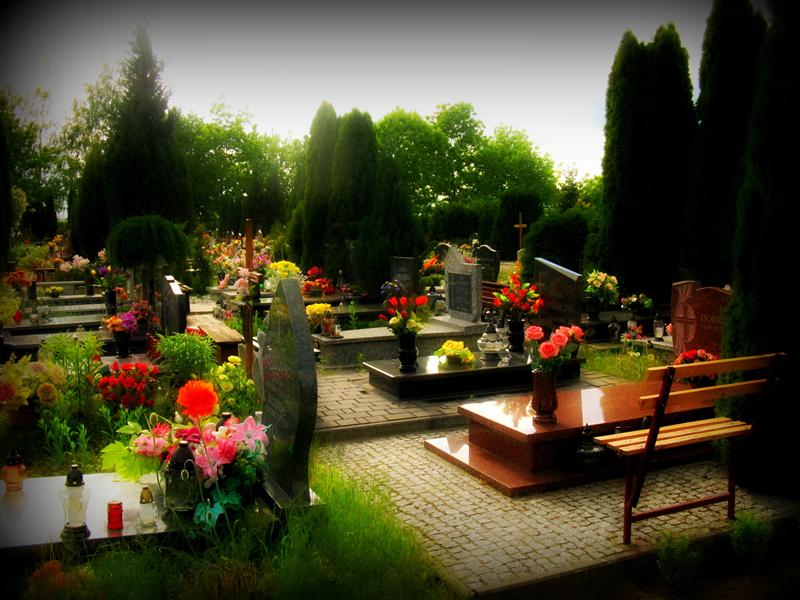 W prezencie kwiaty z grobu