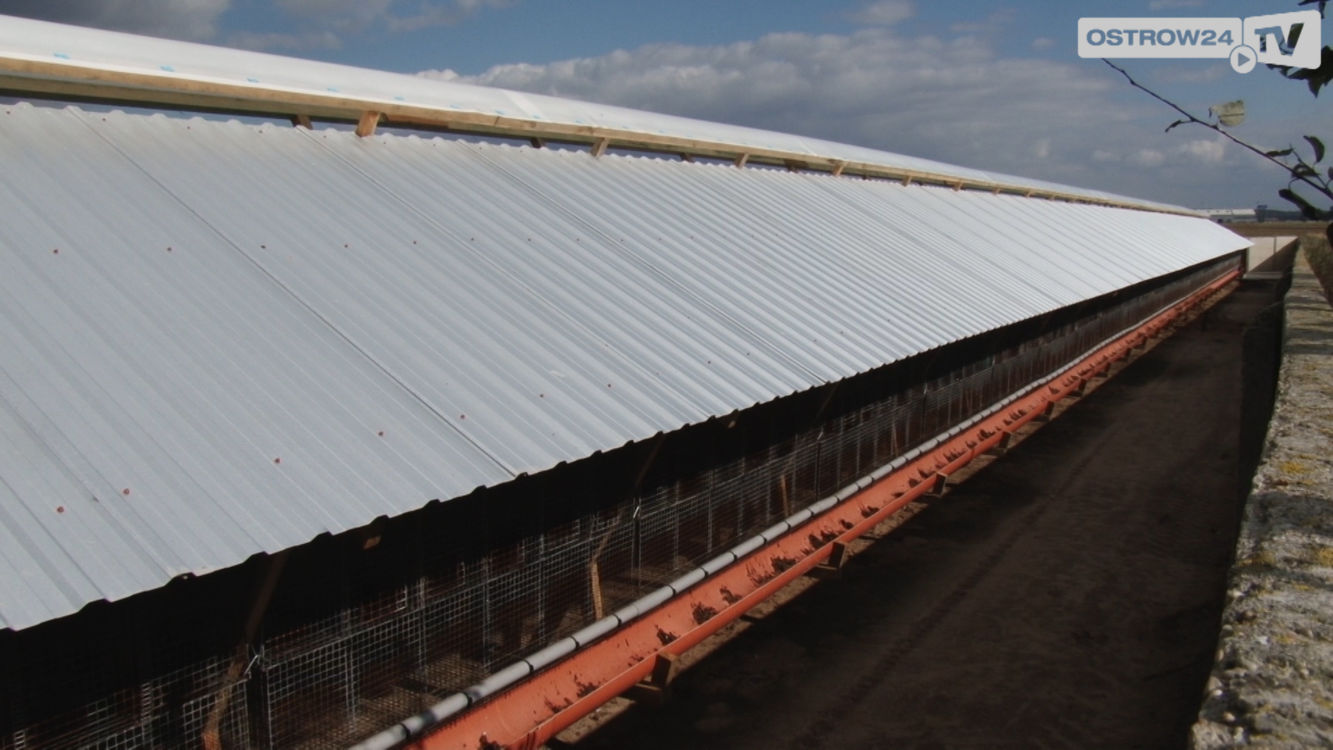 Sejm przegłosował zakaz hodowli zwierząt na futra