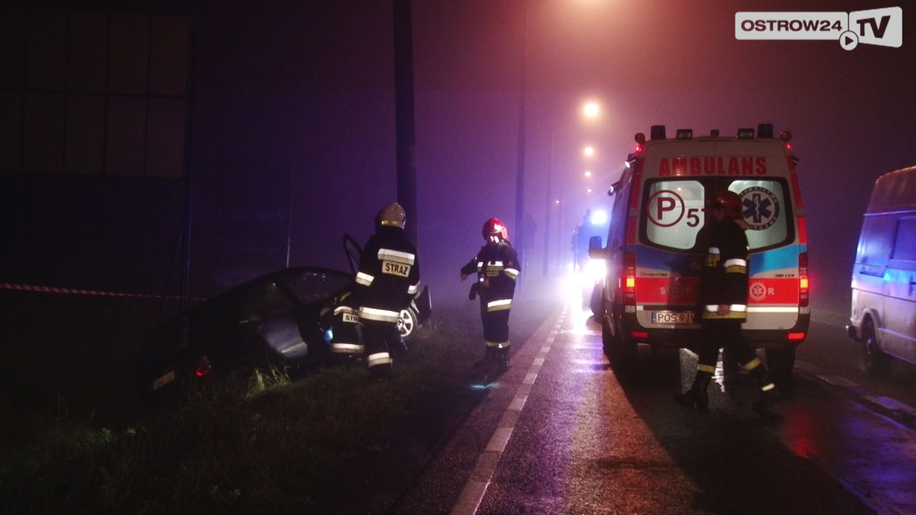 Z 2,8 promila uderzył w słup