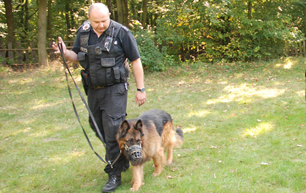 Pies odnalazł kobietę