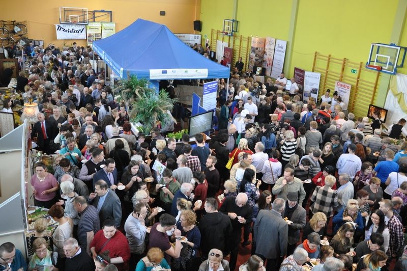 Festiwal o smaku serowym