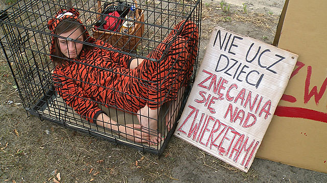 Czy miasto powinno zajmować się cyrkami?