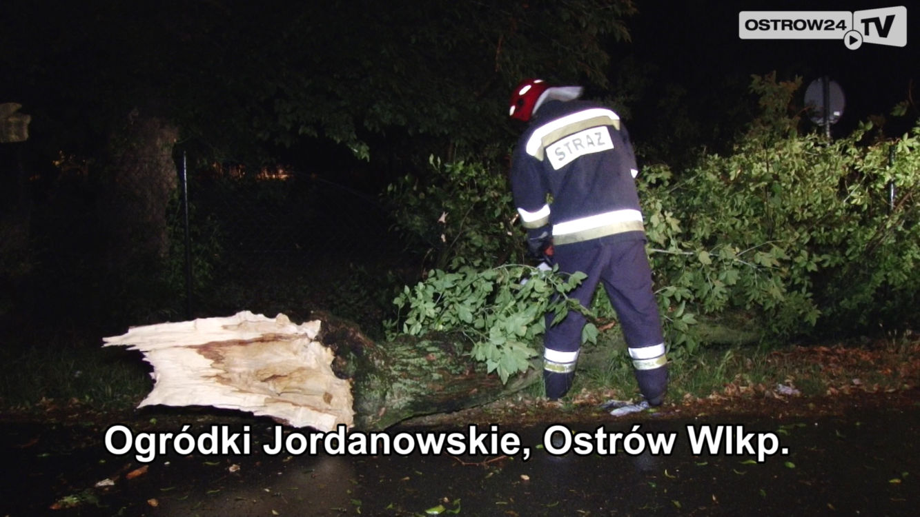Skutki wichury z 7 lipca 2015
