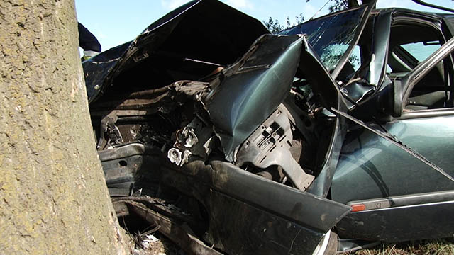 Renault uderzyło w drzewo na trasie Tarchały – Odolanów