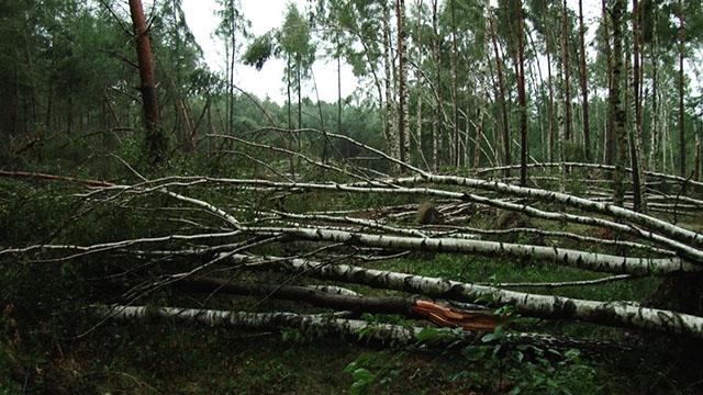 O krok od tragedii. Sobotnia nawałnica