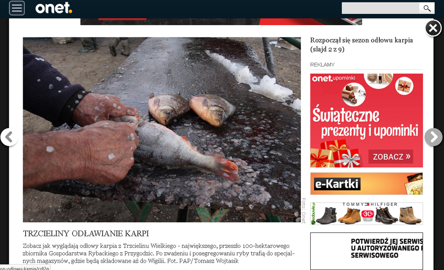 Sezon na karpia