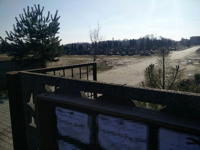 Sarny niszczą cmentarz