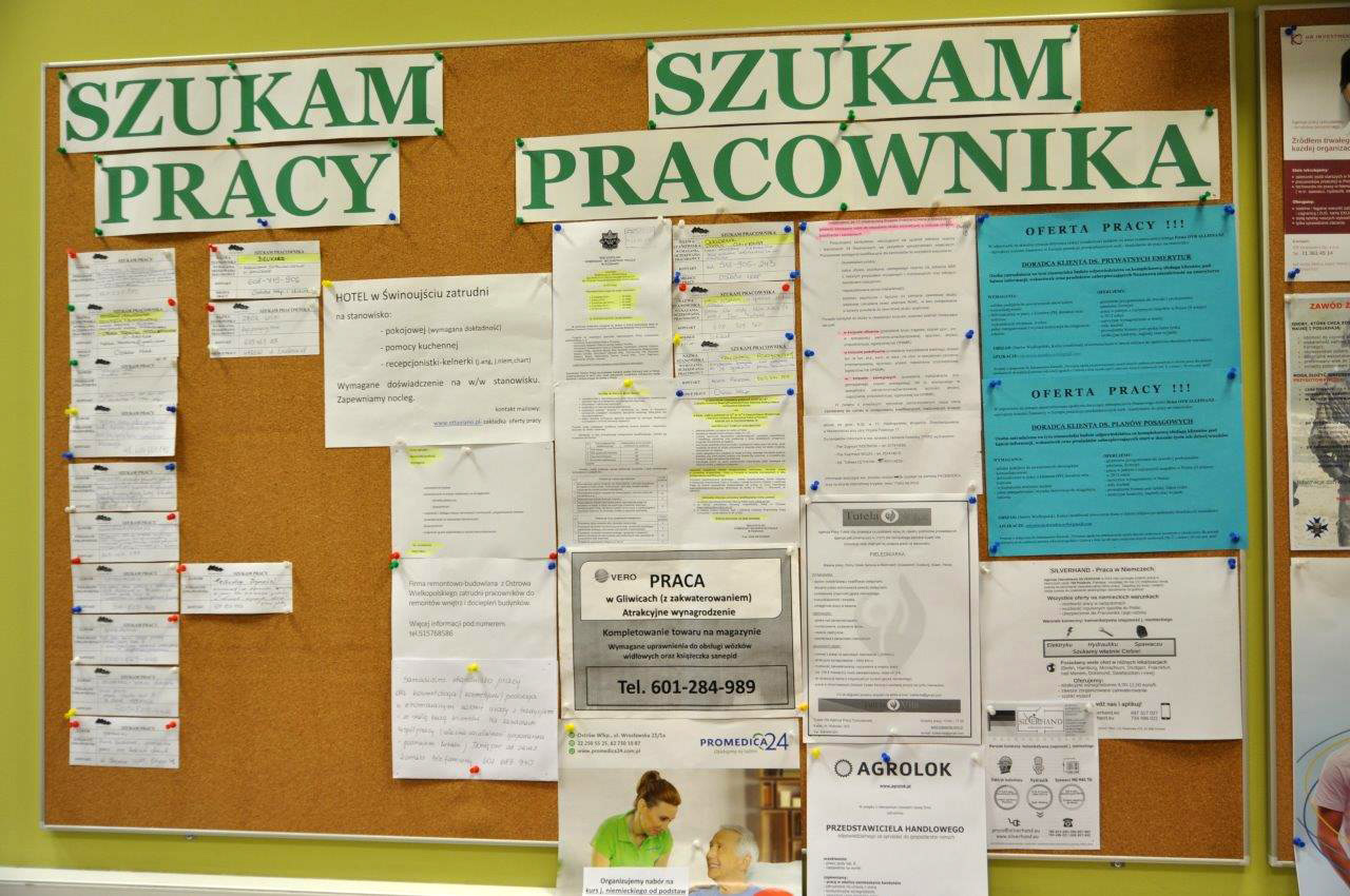 Oferty pracy – czerwiec 2023 cz. 4