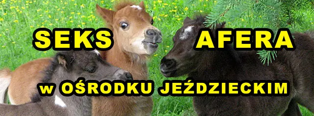 Seks-afera w ośrodku jeździeckim