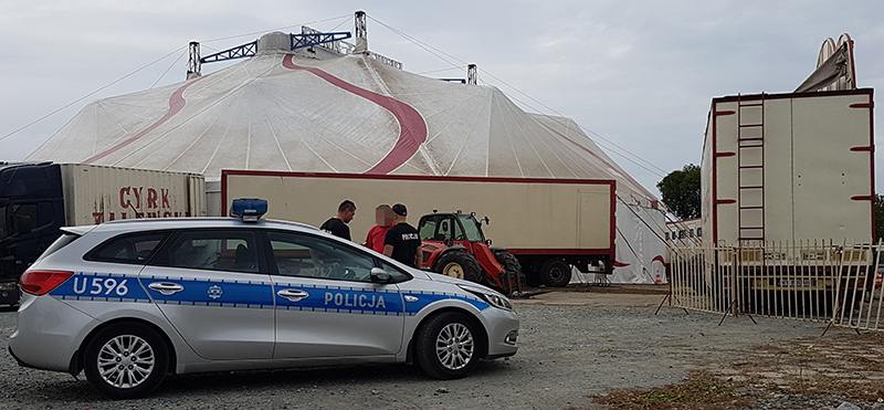 Wypadek w cyrku. 27-latka ma uraz kręgosłupa i głowy (aktualizacja)