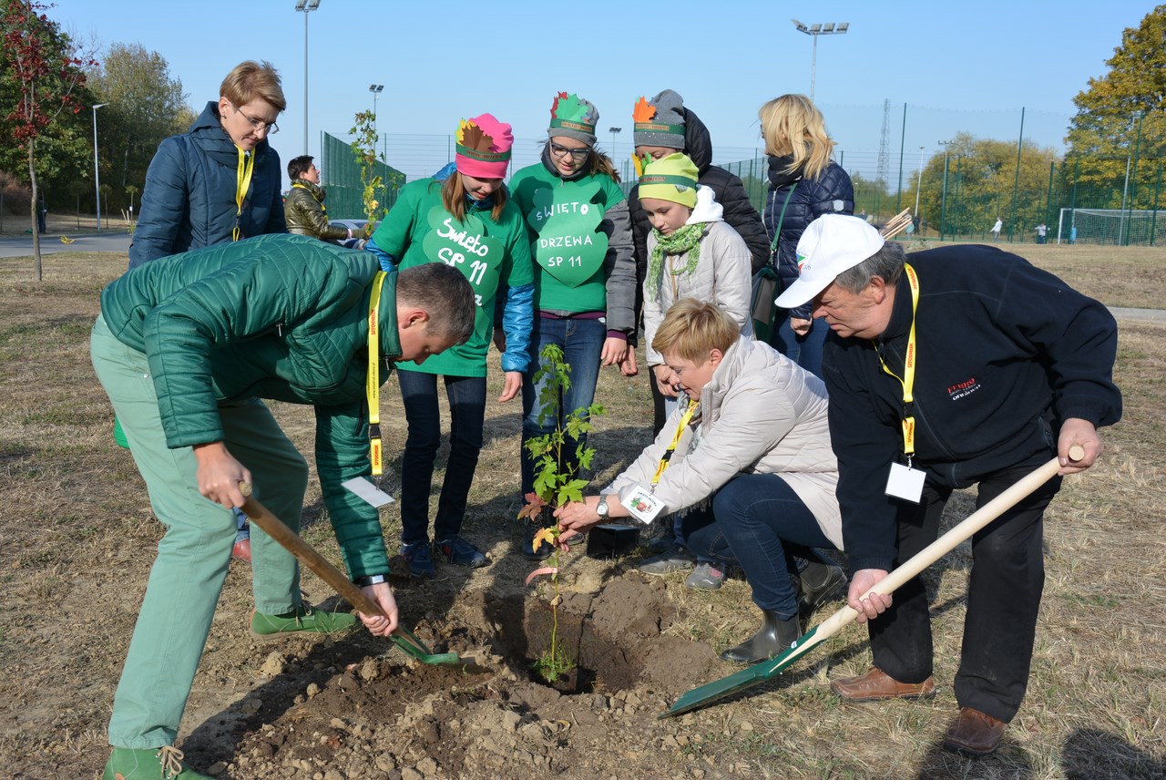 Święto drzewa już w niedzielę