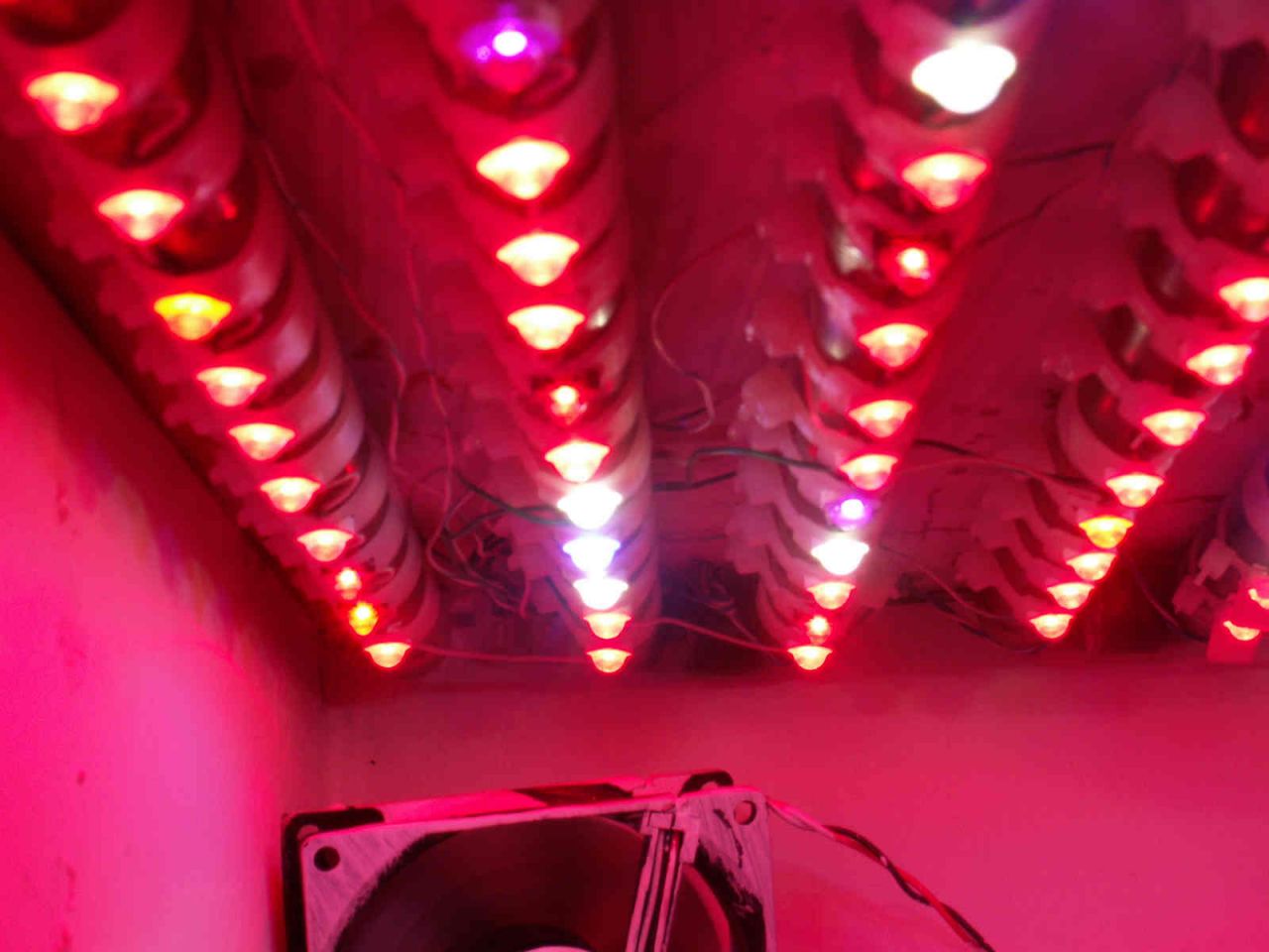 Upodobali sobie lampy LEDowe. Teraz grozi im więzienie