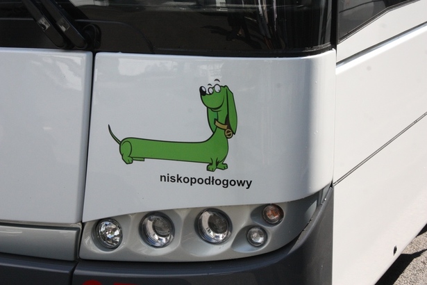 Ogłoszono przetarg na elektryczne autobusy