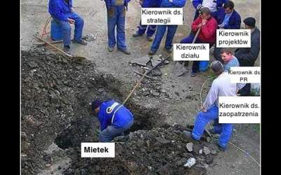 POsadzili lipę – czyli ilu potrzeba do posadzenia drzewka