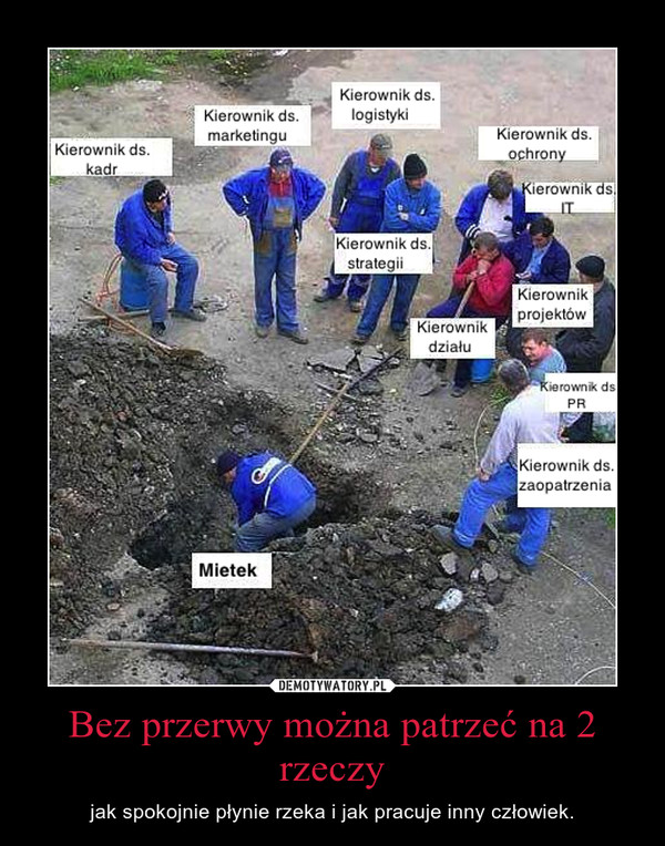 POsadzili lipę – czyli ilu potrzeba do posadzenia drzewka