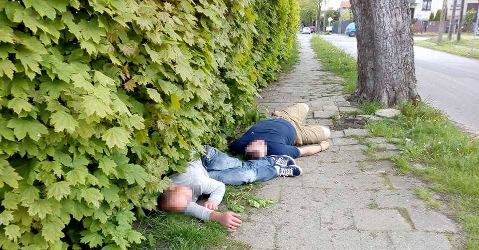 Koneserzy muzyki chodnikowej