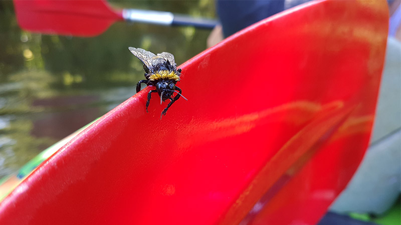 Śmigłowiec LPR ratował kajakarza