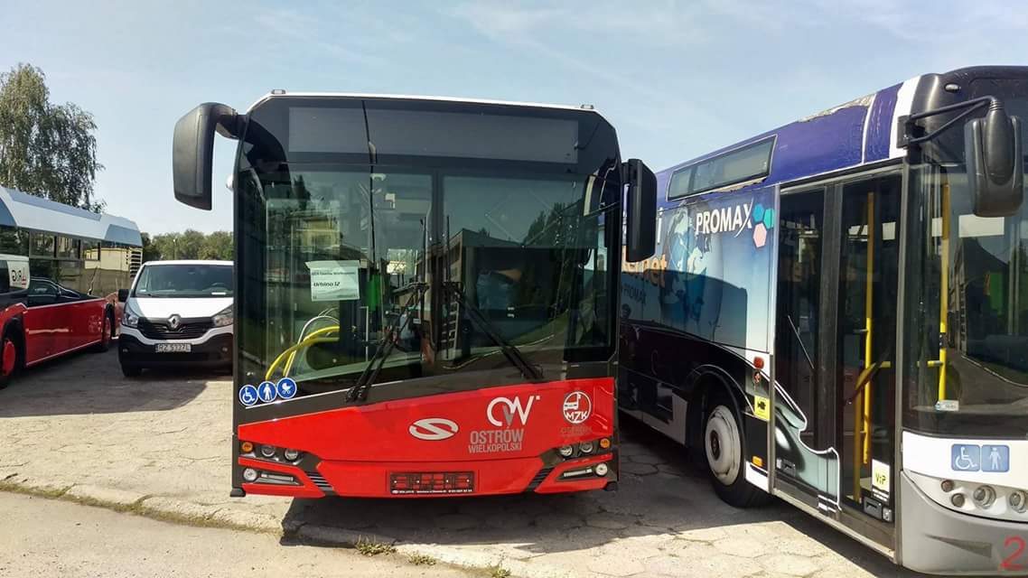 Po Ostrowie będą jeździć czerwone autobusy