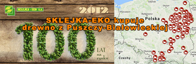 Sklejka-Eko brała drewno z Puszczy Białowieskiej
