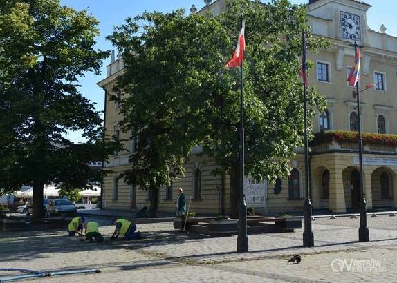 Skazani popracują na rzecz miasta