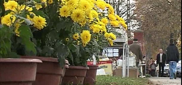 Pobili się o miejsce przy cmentarzu. Jeden ma złamaną nogę