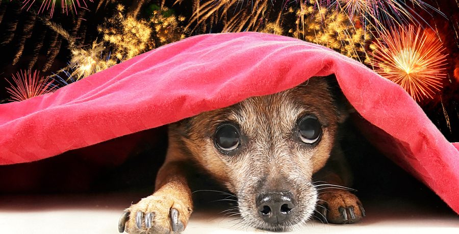 Problematyczne fajerwerki podczas Majostaszków