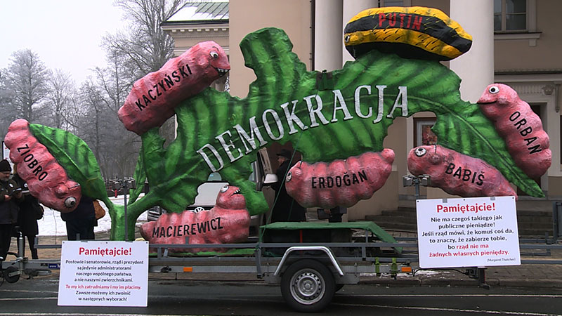 Gąsienice będą pożerać demokrację na Rynku