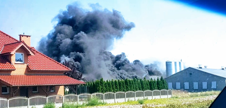 Zginęło w pożarze 18 tys. kurczaków. Uratowano 34 tys.