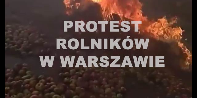 Rolnicy protestowali w Warszawie. Podpalili opony, wysypali jabłka czy martwe świnie