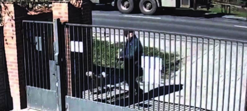 Porzucił pieska przy bramie schroniska (wideo)