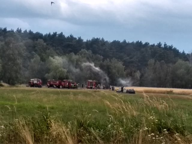 Pożar w Bogufałowie. W akcji 8 wozów i samolot