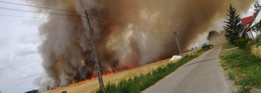 Pożary zboża i ściernisk. Nawet wójt gasił pożar