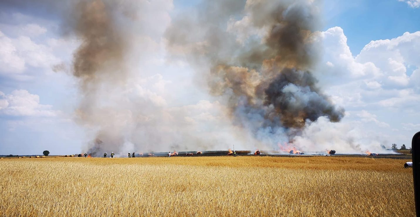 Pożar zboża w Masanowie
