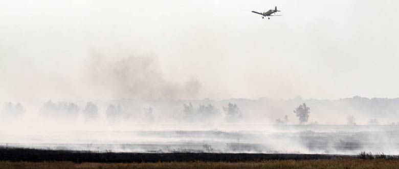 Pożar torfowiska pod Ostrowem