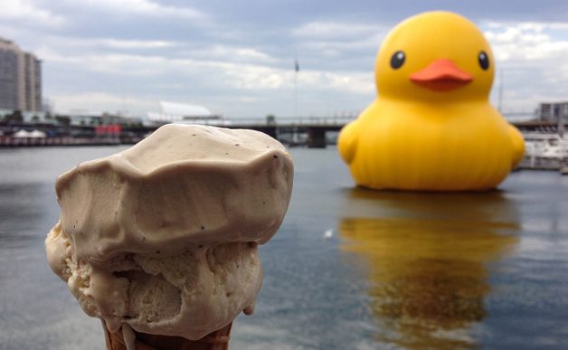 Kaczki i lody – czyli wielka wyżerka w Wysocku Wlk.