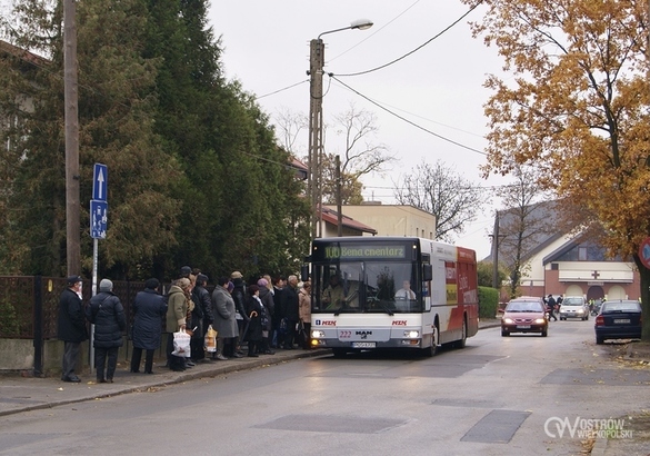 Na cmentarz dojedziesz autobusem. Za darmo