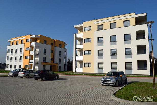 Kolejne bloki dla systematycznych