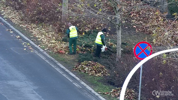 Jesienne porządki i obowiązki