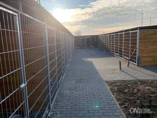 Nowe kojce i odwodnienie w schronisku